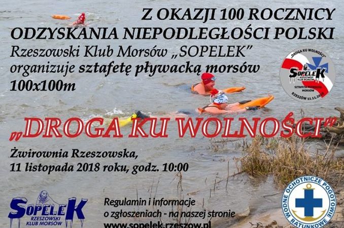 Sztafeta pływacka morsów - Rzeszów
