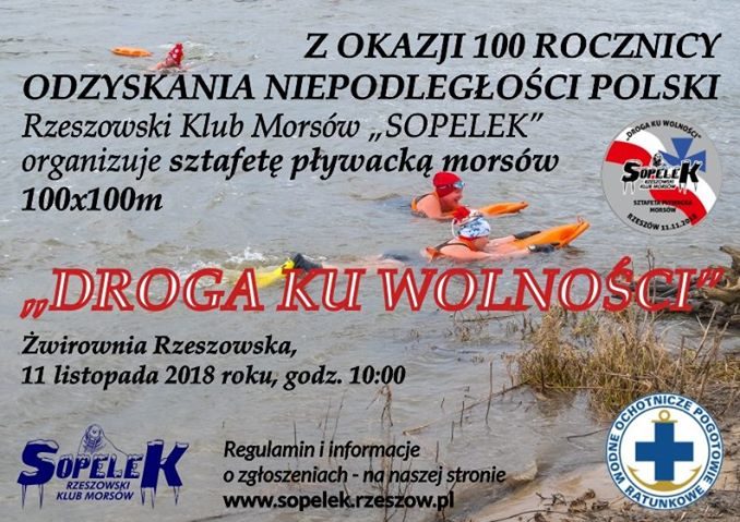 Sztafeta pływacka morsów - Rzeszów